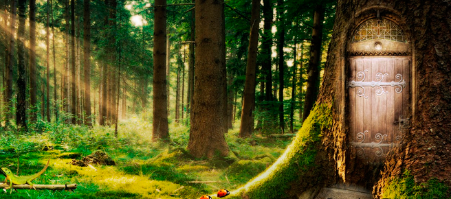 Bosque-de-Fantasía
